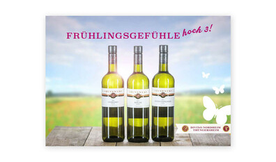 Divino-Chardonnay-Riesling-Burgunder-Fruehling-445